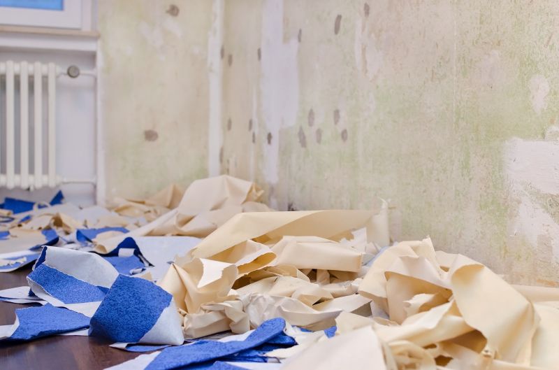 Professional Wallpaper Installer